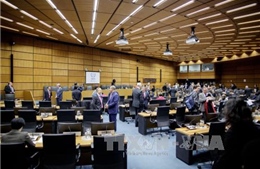IAEA hối thúc Triều Tiên chấm dứt phát triển vũ khí hạt nhân 